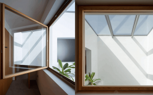 diseno biofilico 1