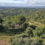 El nuevo CTE entra en escena: así se prepara Presto Ibérica para la eficiencia de 2026