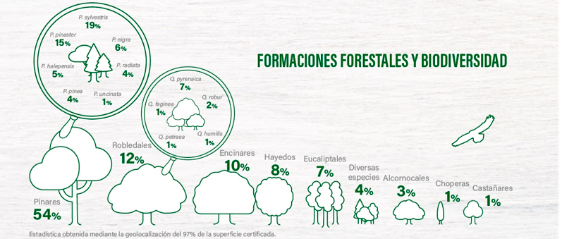 e732f216-050c-2117-3452-bbb9a30a5e2f